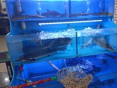-韩妹鱼庄·泸定老字号(泸定店)