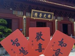 -深圳仙湖植物园