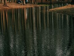 -上海共青森林公园