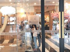 -袖虎·猫馆(体育西路店)