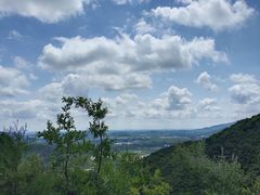 -荣德灶台鱼(圣泉寺店)