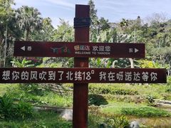 -呀诺达热带雨林