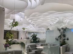 -大树餐厅(朝阳大悦城店)
