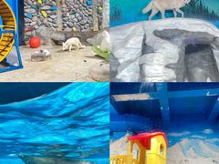 -海合安天津极地海洋公园