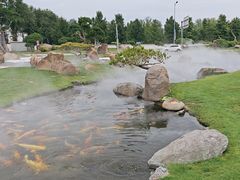 -罗红摄影艺术馆