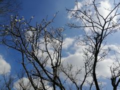 -白鹭湾湿地公园