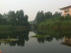 -溱湖国家湿地公园