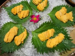 海胆-九井澤精致料理(金茂店)