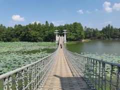 -东湖落雁景区