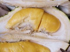 -都念榴莲·城市榴莲