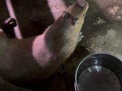 -正佳雨林生态植物园