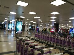 -厦门高崎国际机场-T3航站楼