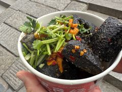 黑色经典臭豆腐生胚-黑色经典臭豆腐·湖南特产(坡子街店)