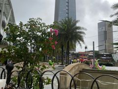 -Paulaner·德国帕拉娜自酿啤酒餐厅(海上世界店)