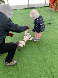 -萌宠亲子动物乐园(槐房万达店)