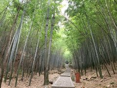 -穹窿山景区