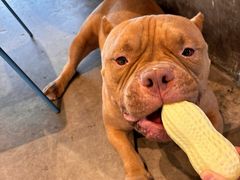 -HALO SOUL COFFEE·咖啡·甜品·简餐(嘉年华海信广场店)