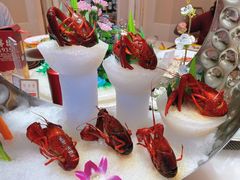 -白金汉爵大酒店-24小时餐厅