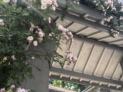 -紫峰大厦