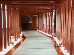 -重庆南山海昌汤都