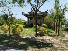 -武清南湖绿博园