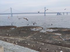 -星海广场