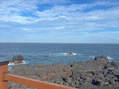 -涉地可支