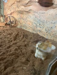 -Zoolung Zoolung动物主题公园(海信广场店)