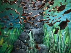 -上海海洋水族馆