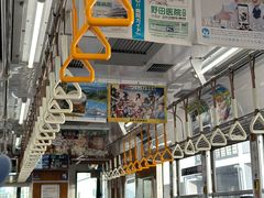 -岚山嵯峨野观光小火车
