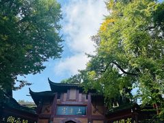 -青城山