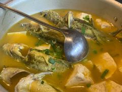 压锅酸汤昂刺鱼-二十八里太湖船菜(吉祥路店)