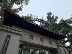 -茶颜悦色(岳麓山顶店)