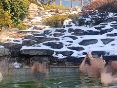 -江南天池高山汤泉城