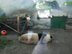 -无锡动物园·太湖欢乐园
