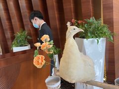 -宁波九龙湖开元度假村