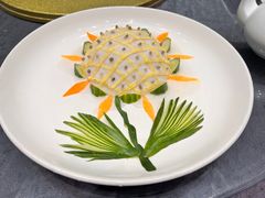 -丁老爷子苏香圆