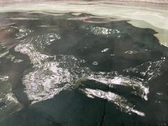 -海兰云天度假区温泉