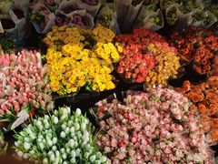 -循礼门鲜花花市(武汉循礼门店)