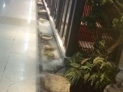 -老头儿油爆虾(星光一期店)