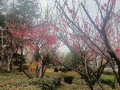 -山东外贸职业学院