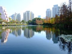 -荔枝公园(福田区)