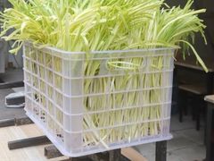 -尤素福东举院饺子馆