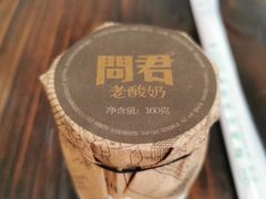 -莫愁村问君老酸奶