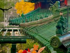 -茶源Fountain Lounge大堂吧·北京东方君悦大酒店