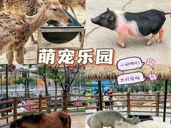 -海合安天津极地海洋公园