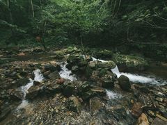 -本溪汤沟绿石谷森林公园