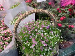 -三旗百汇商品城