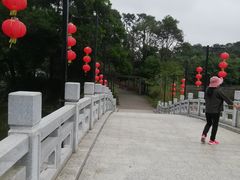 -金山植物公园