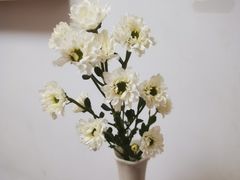 -西村叔叔的店(黄岛青医附院店)